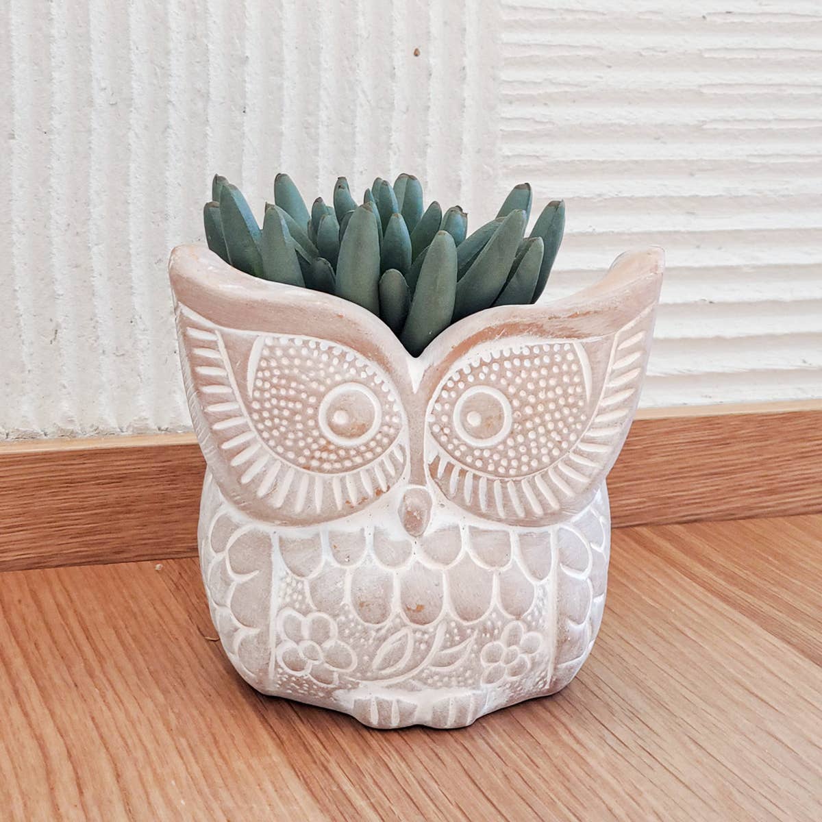 terracotta owl planter with succulents on a wooden surface