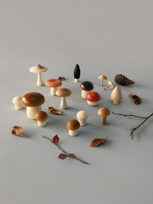 Collection of various wooden toy mushrooms 