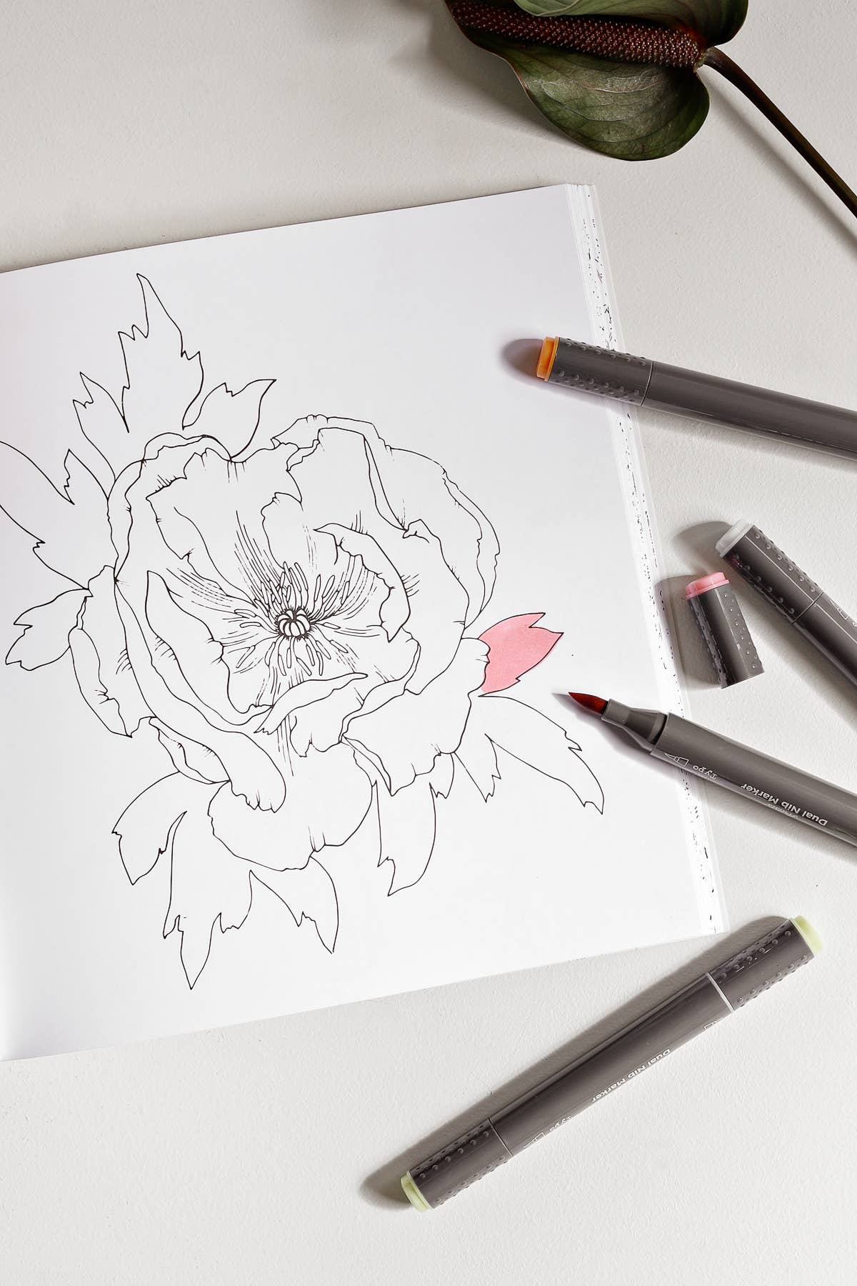 Floral coloring page from Plant Lady Coloring Book