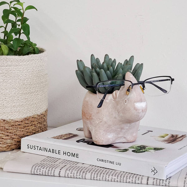 A small terracotta rhino-shaped planter holding a green succulent, styled on top of two books with black-framed glasses resting on its head, against a plain light wall.