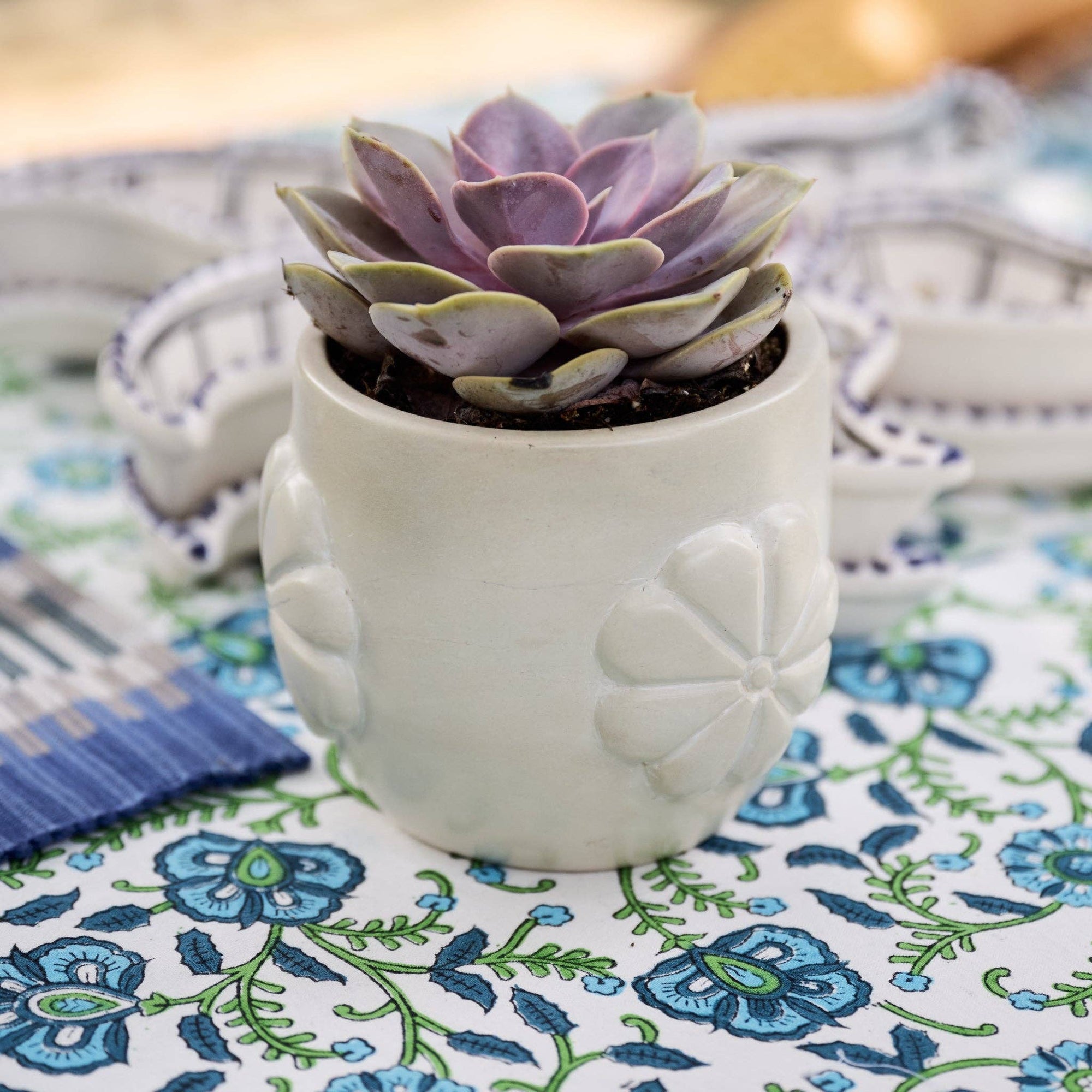 succulent in soapstone carved planter