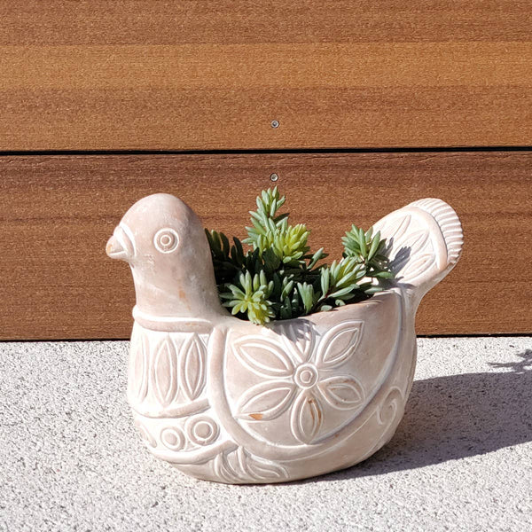 Terracotta dove-shaped pot planted with succulents