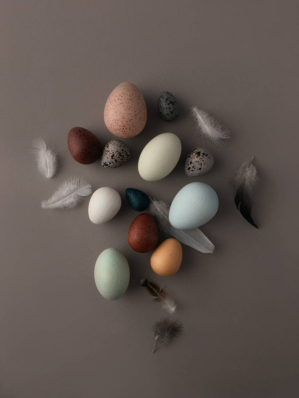 Assorted wooded toy eggs